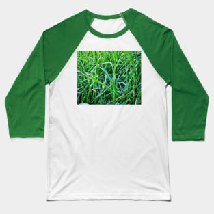 Dewy Grass Baseball T-Shirt